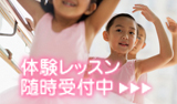 体験レッスン随時受付中